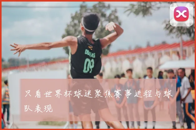 只看世界杯球迷聚焦赛事进程与球队表现